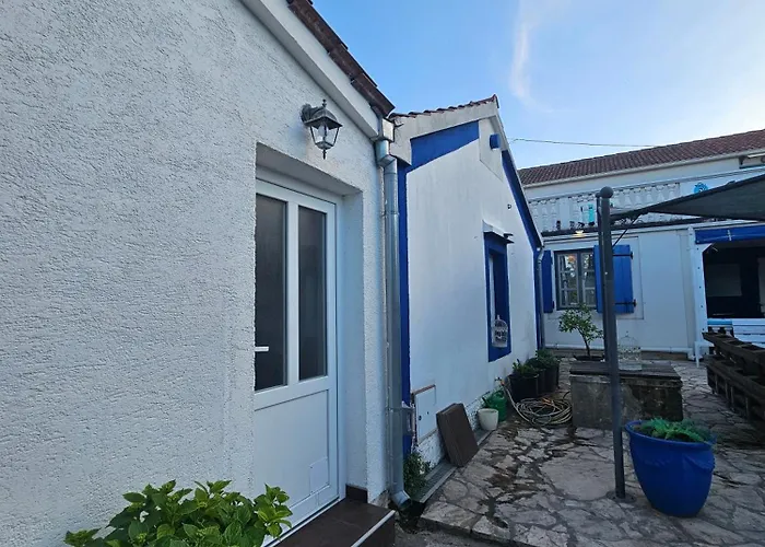 The Lazy Monkey & Hostel *