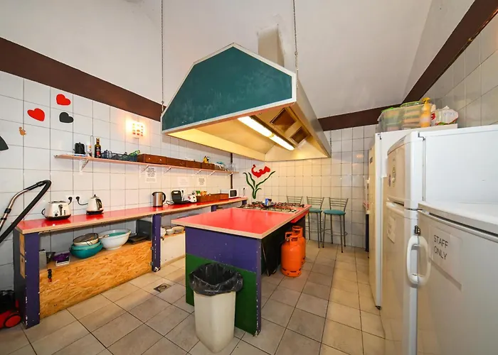 The Lazy Monkey & Задар