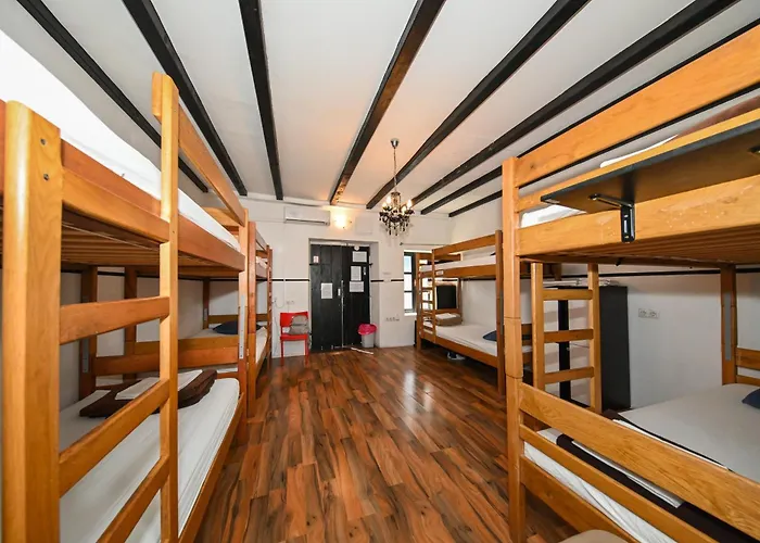 The Lazy Monkey & Задар