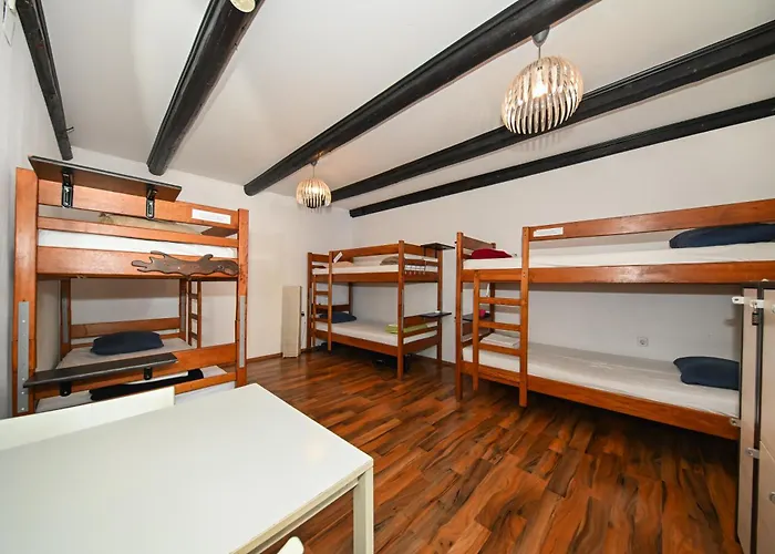 Хостел The Lazy Monkey &