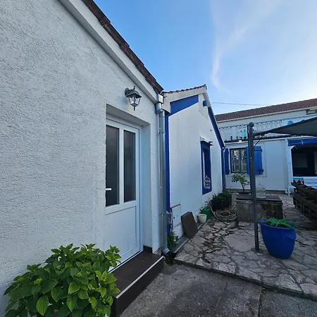 The Lazy Monkey & Hostel *