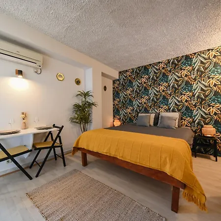 The Lazy Monkey & Zadar