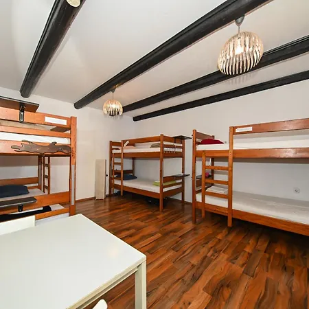 Hostel The Lazy Monkey &