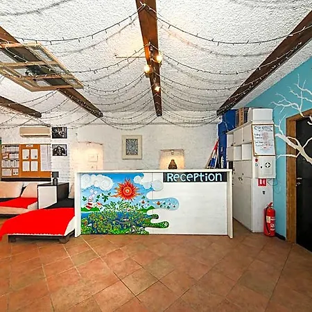Hostel The Lazy Monkey & Zadar