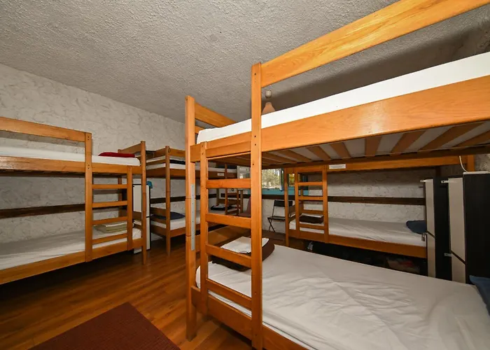 The Lazy Monkey & Hostal