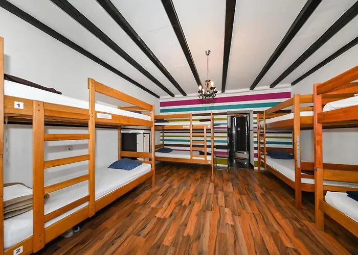 The Lazy Monkey & Hostal *