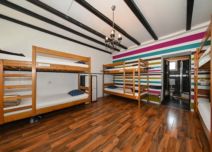 The Lazy Monkey & * Zadar