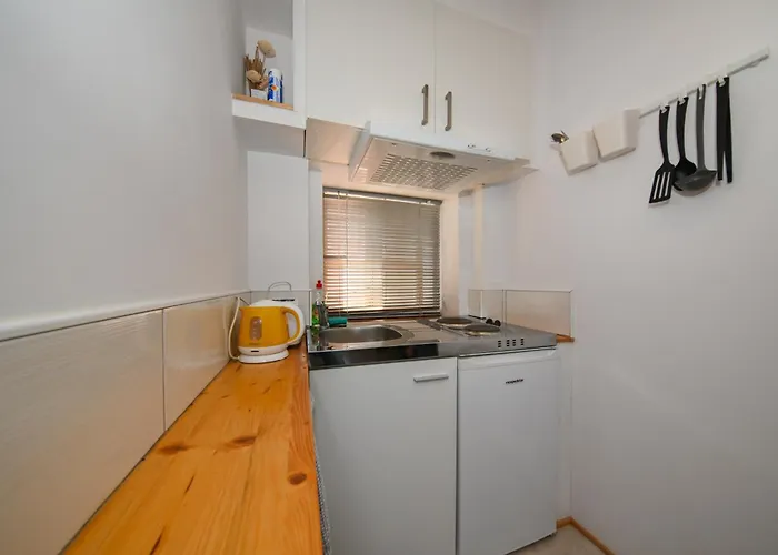 Hostal The Lazy Monkey & Zadar