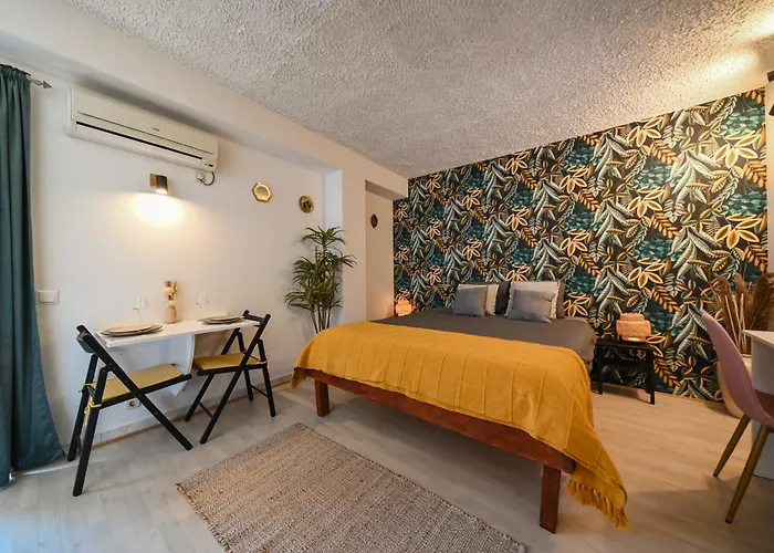 The Lazy Monkey & Zadar