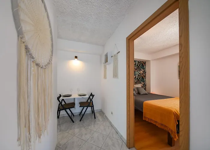 Vandrarhem The Lazy Monkey & Zadar